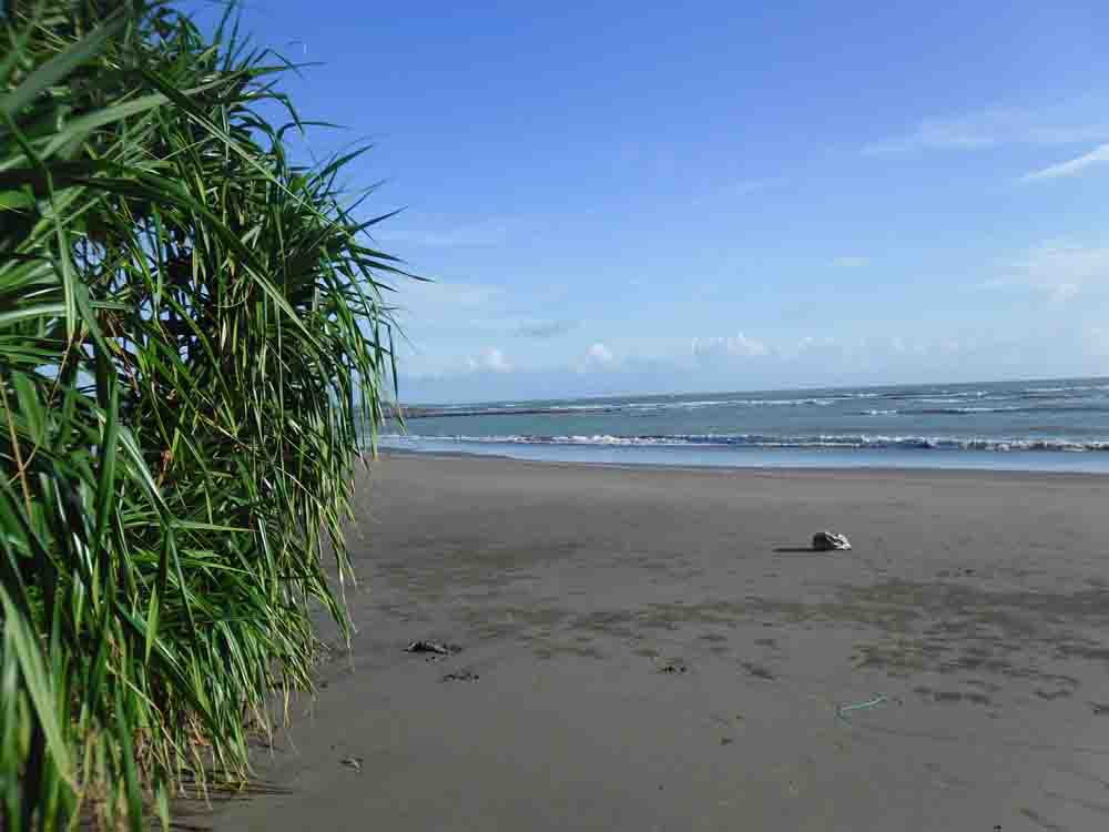 ভূমি অফিস