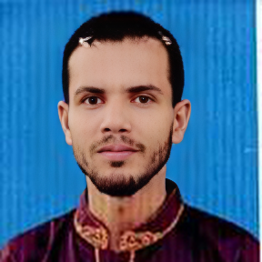 dss.jpg