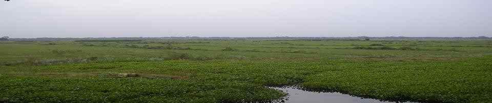 সাজাইল ইউনিয়নের ফটো 