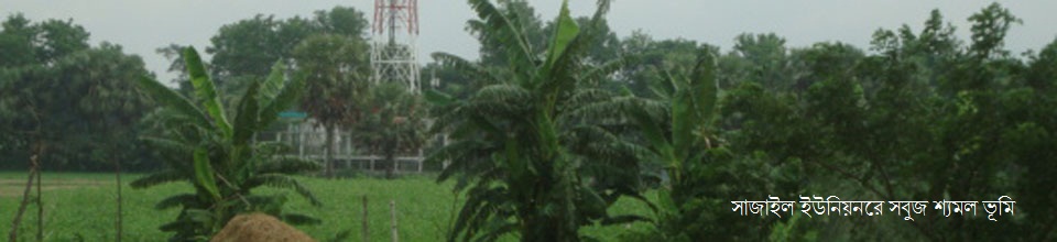 সাজাইল ইউনিয়ন