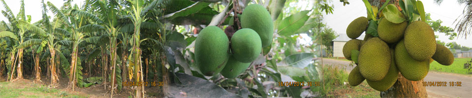 সাখিপুর