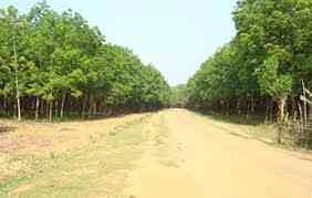 জরুরী সেবা