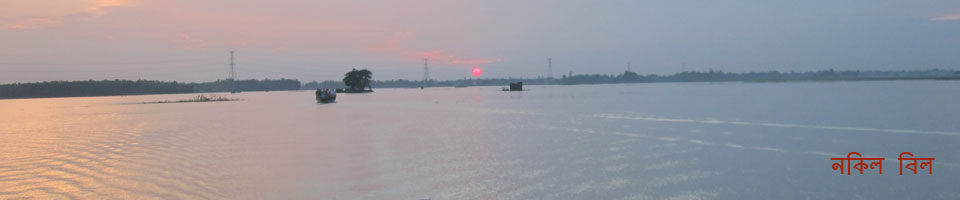 নকিল বিল