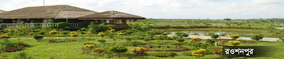 Rowsonpur