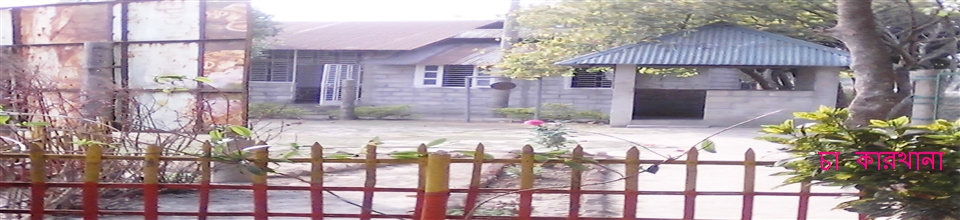 চা কারখানা