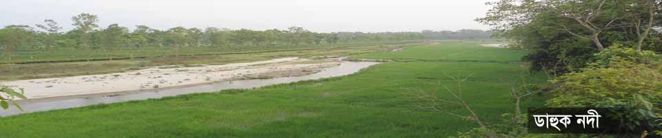 Dahuk River
