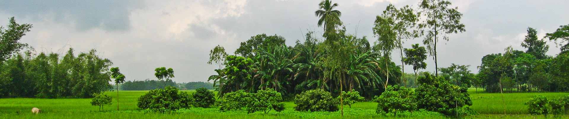 আপনাকে স্বাগতম