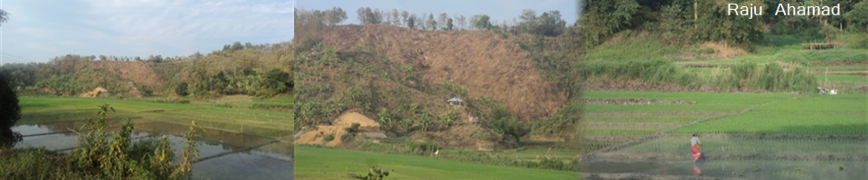 সাপছড়ি ইউনিয়নের গ্রামের দৃশ্ব