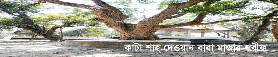 কাটা মাজার শরীফ