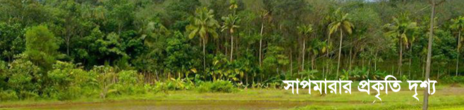 সাপমারা ইউনিয়নের ব্যনার