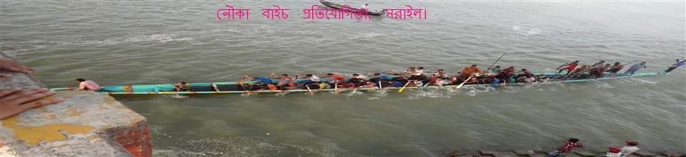 নৌকা বাইচ