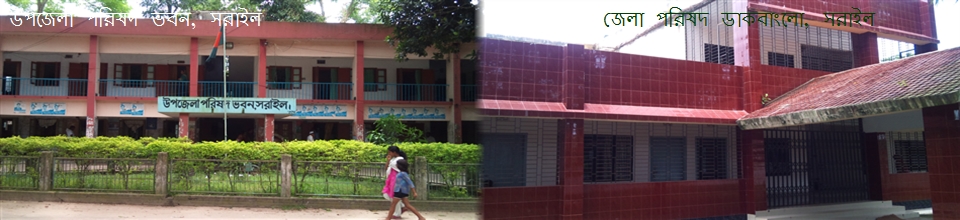 উপজেলা পরিষদ ভবন ও ডাকবাংলো