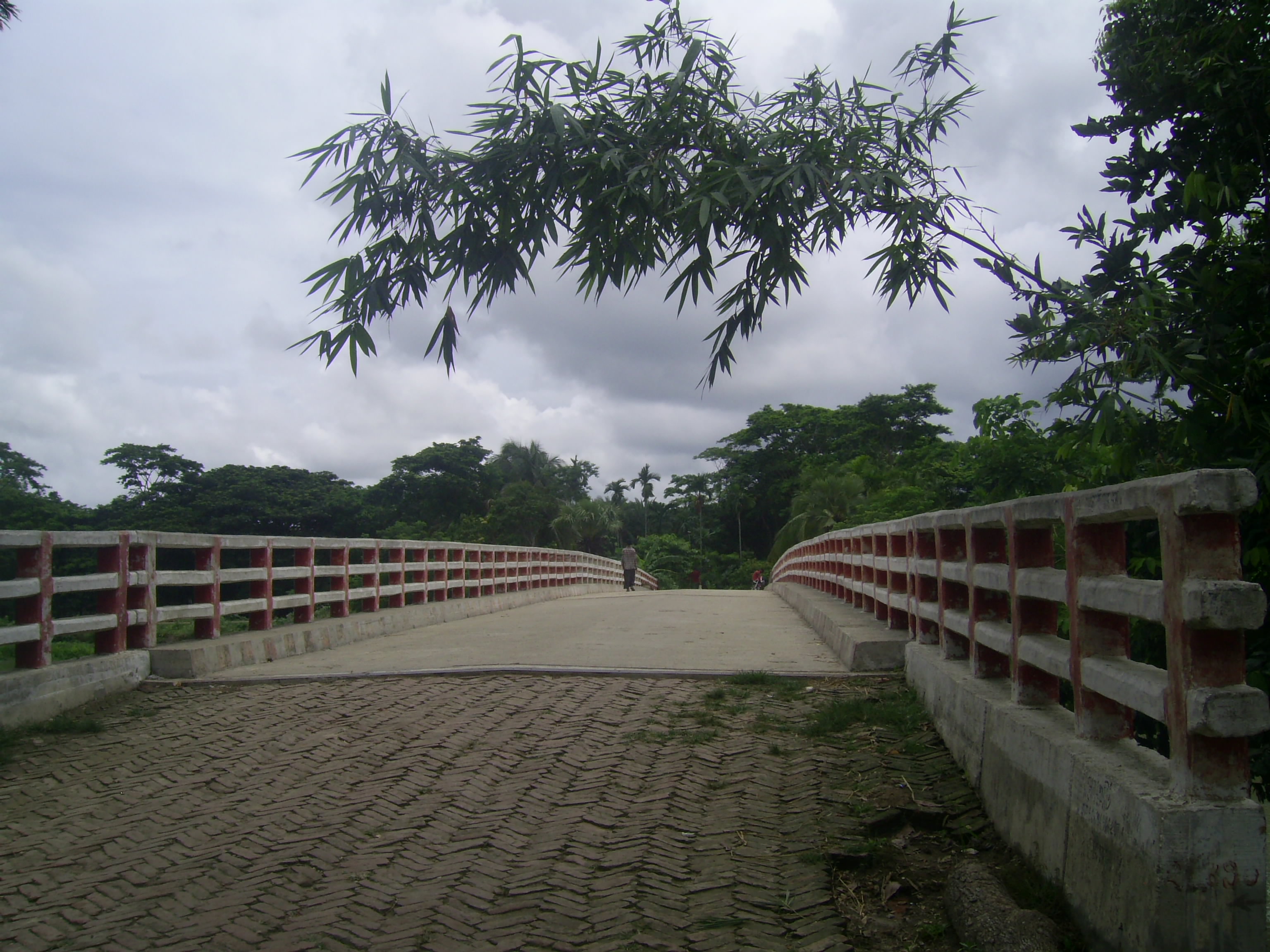 স্থানিয় সরকার প্রকৌশল