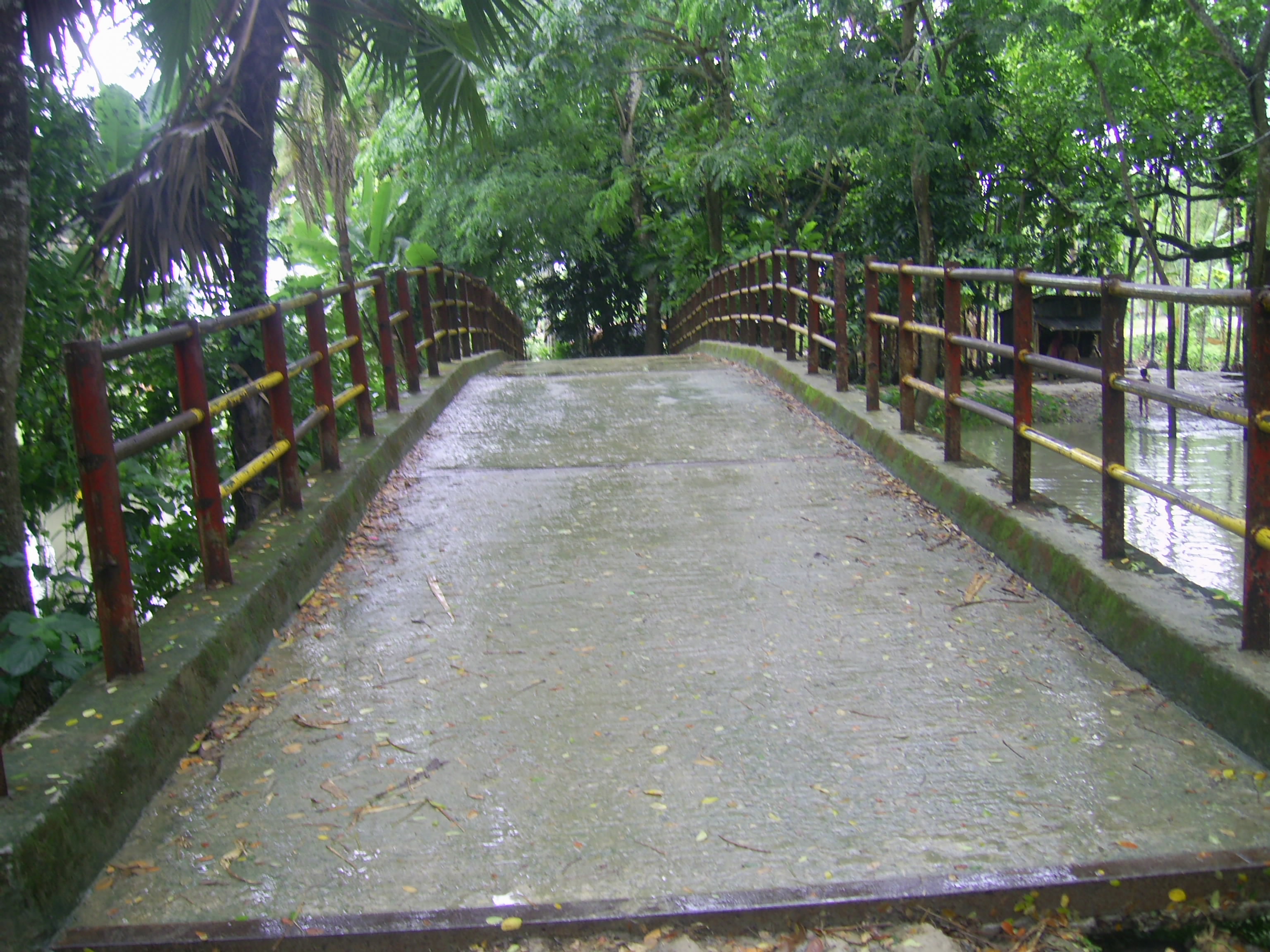 বিবিধ