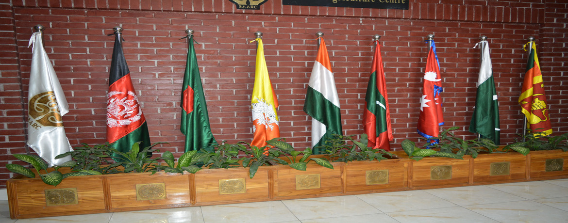 SAARC_Flag