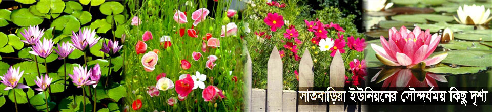 সাতবাড়িয়া ইউনিয়নের সৌন্দর্যময় কিছু দৃশ্য