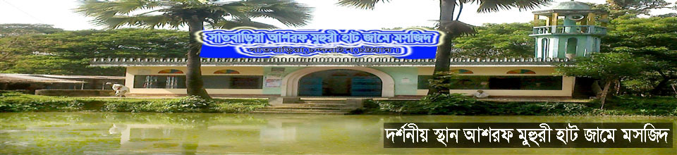 সাতবাড়ীয়া আশরফ মুহুরী হাট জামে মসজিদ