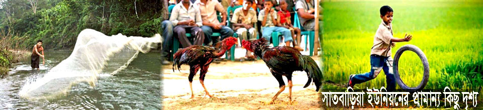 সাতবাড়িয়া ইউনিয়ন