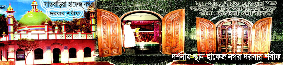 দর্শনীয় স্থান হাফেজ নগর দরবার শরীফ