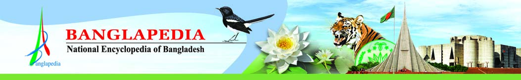 পরিছন্নতা অভিযান