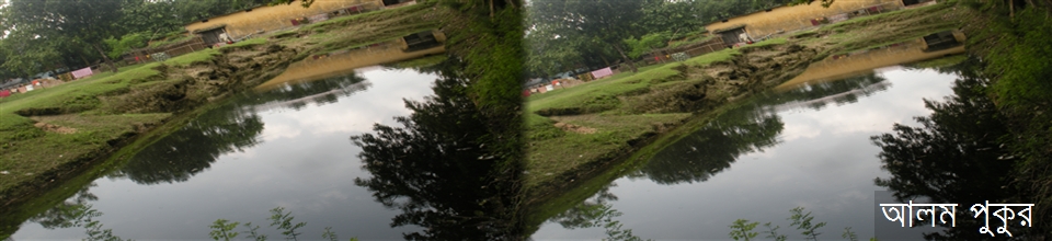 কামার পাড়া গ্রামে আলম পুকুর অবস্থিত