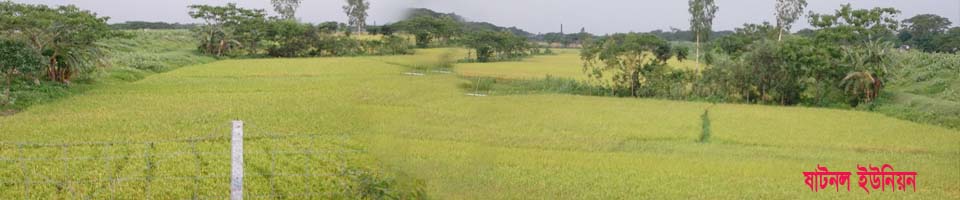 ষাটনল ইউনিয়ন