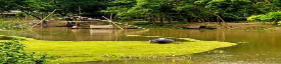 সাতপাড় মধ্য দিয়ে বয়ে যাওয়া খাল।