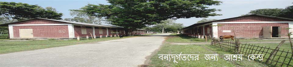 বন্যা দূর্গতদের জন্য তৈরী কৃত আশ্রয় কেন্দ্র