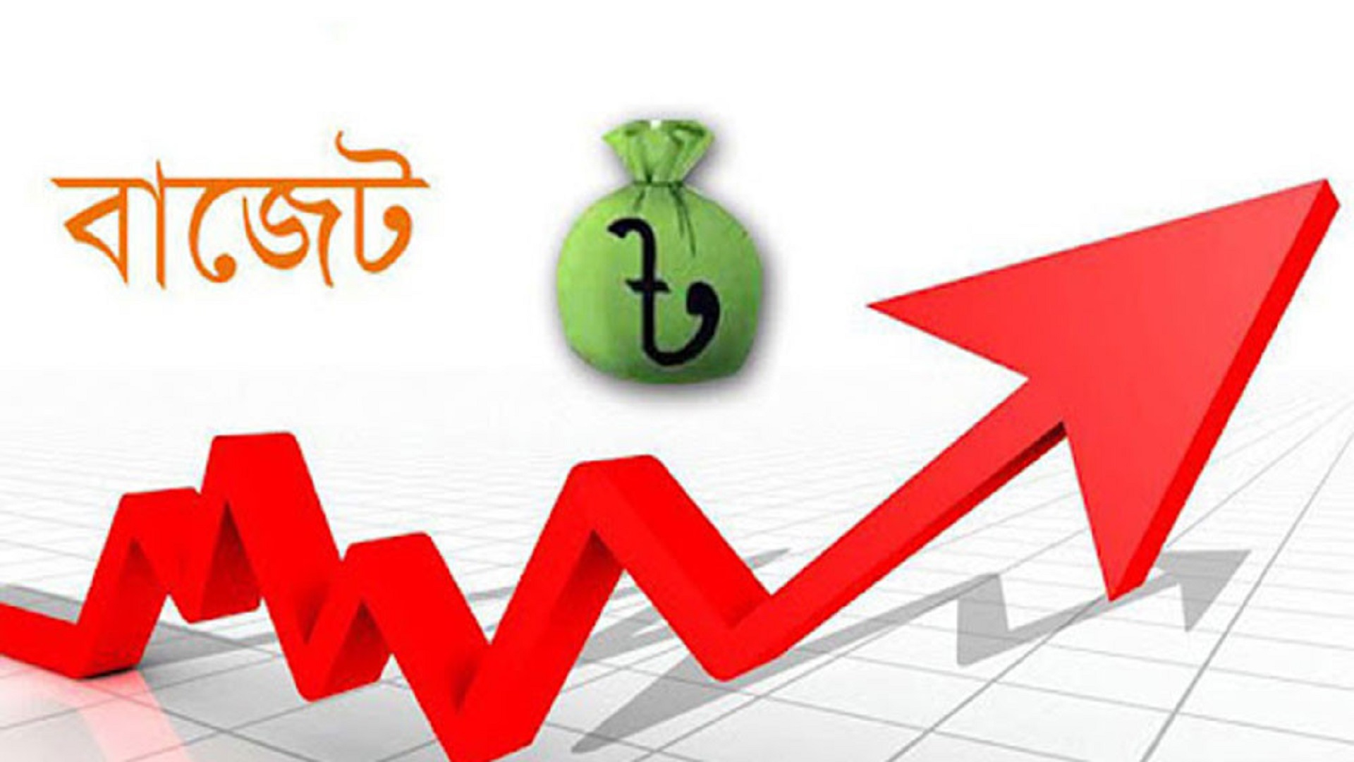 বাজেট ব্যবস্থাপনা ও প্রকল্প