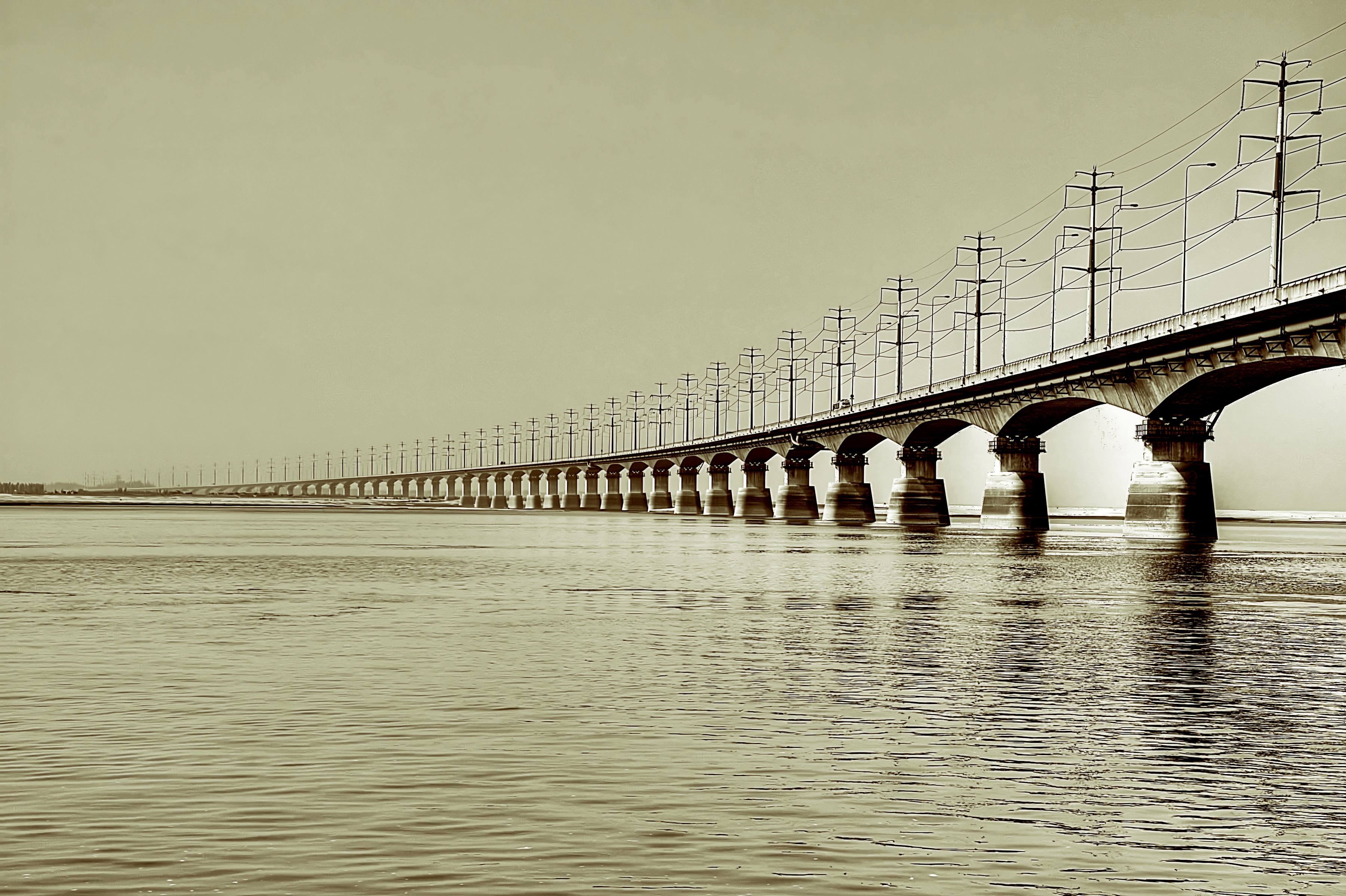 ব্যানার