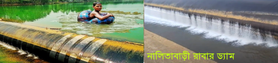 নালিতাবাড়ী রাবার ড্যাম