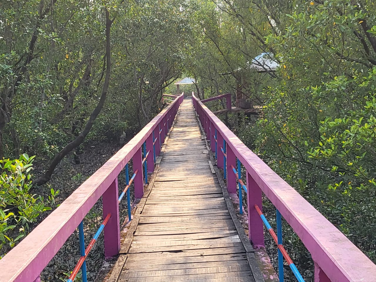 আকাশলীনা ইকো ট্যুরিজম সেন্টার, শ্যামনগর সাতক্ষীরা