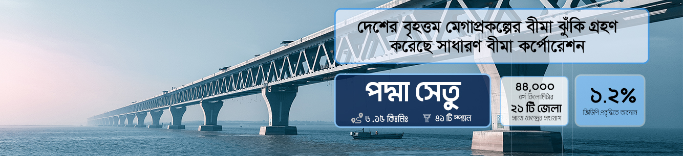 পদ্মা সেতু