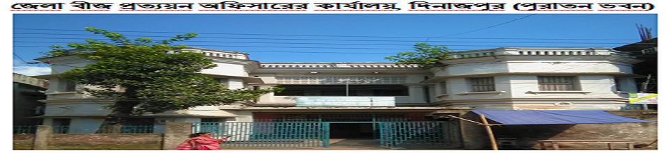 এসসিএ দিনাজপুর (পুরাতন ভবন)