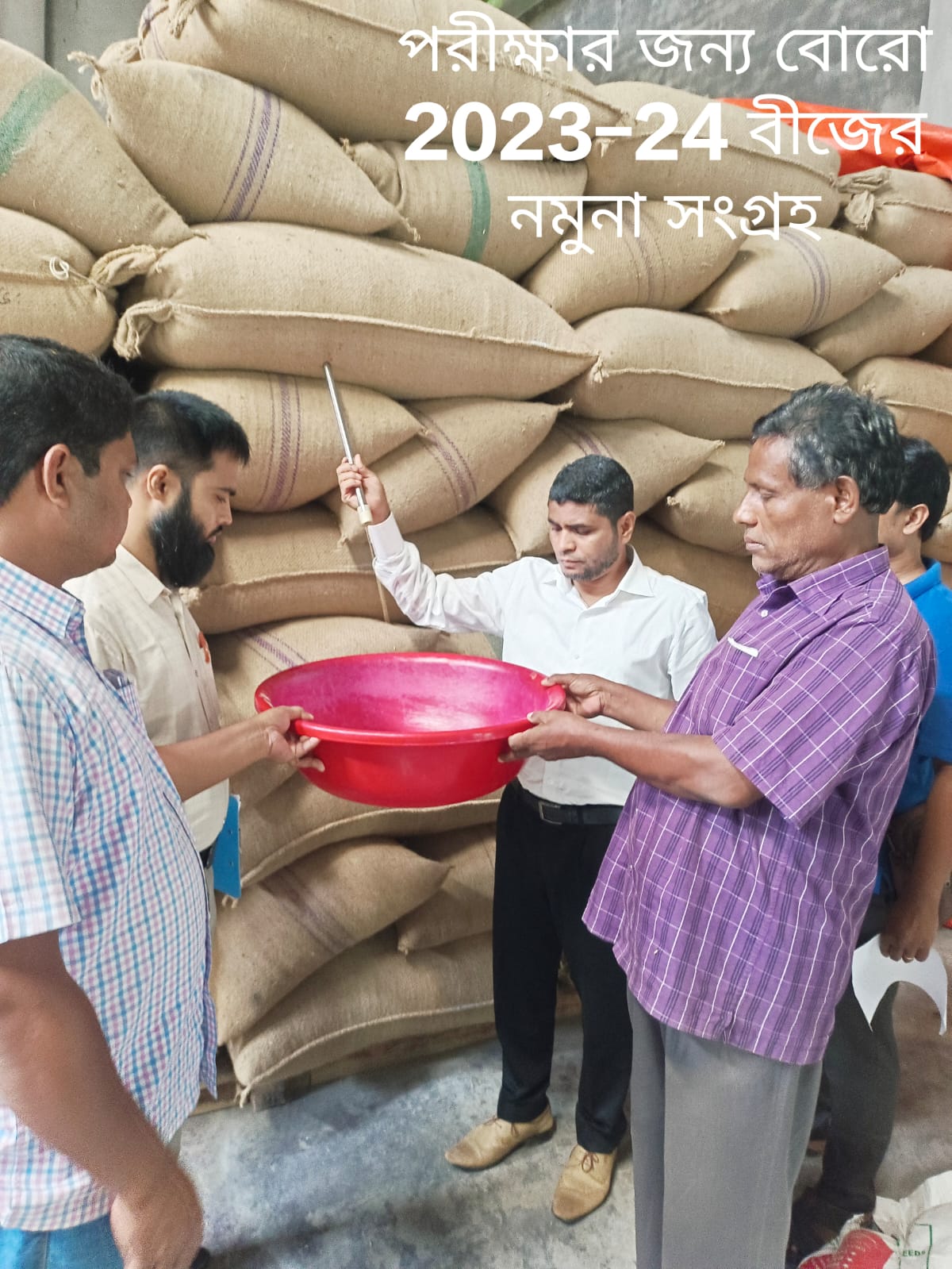 নমুনা বীজ সংগ্রহ
