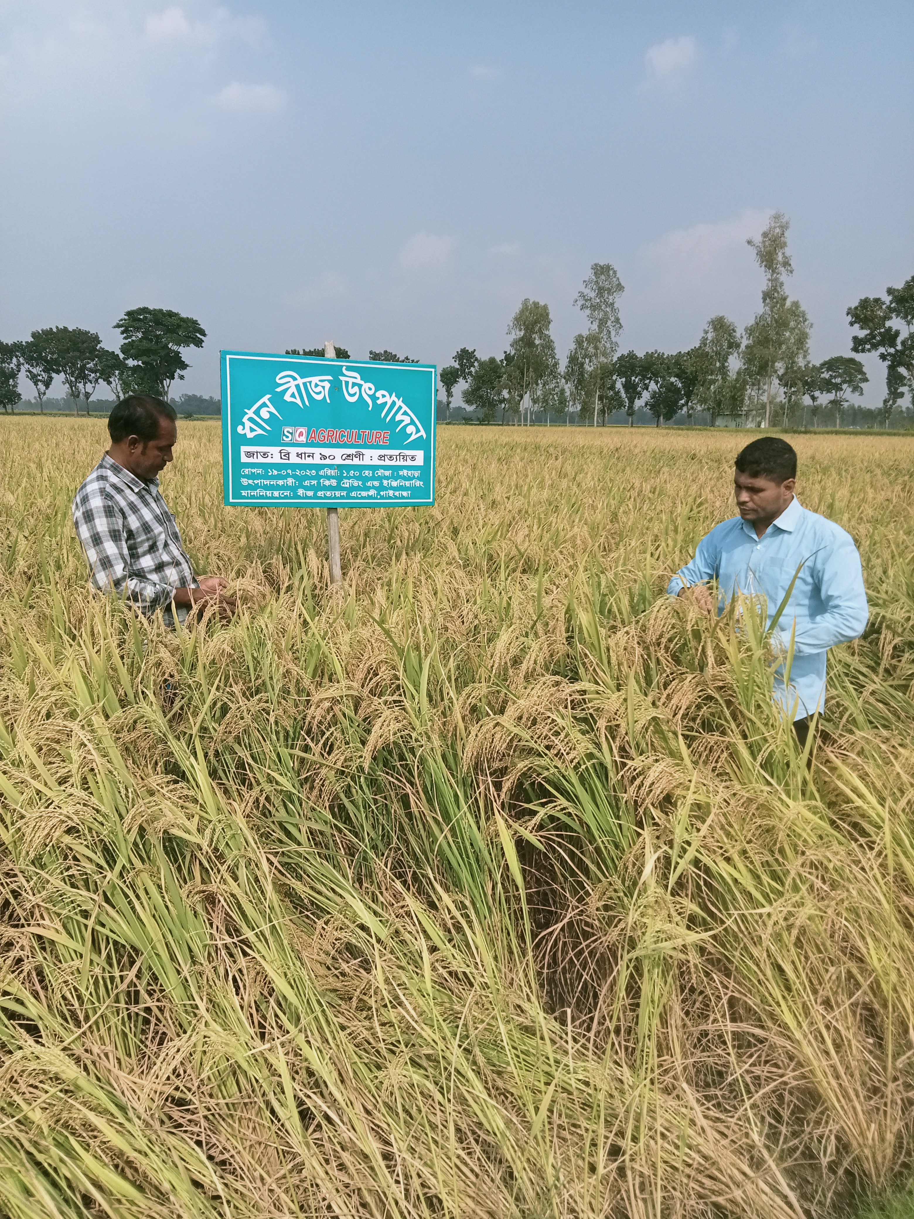 আমন ধান বীজের মাঠ পরিদর্শন