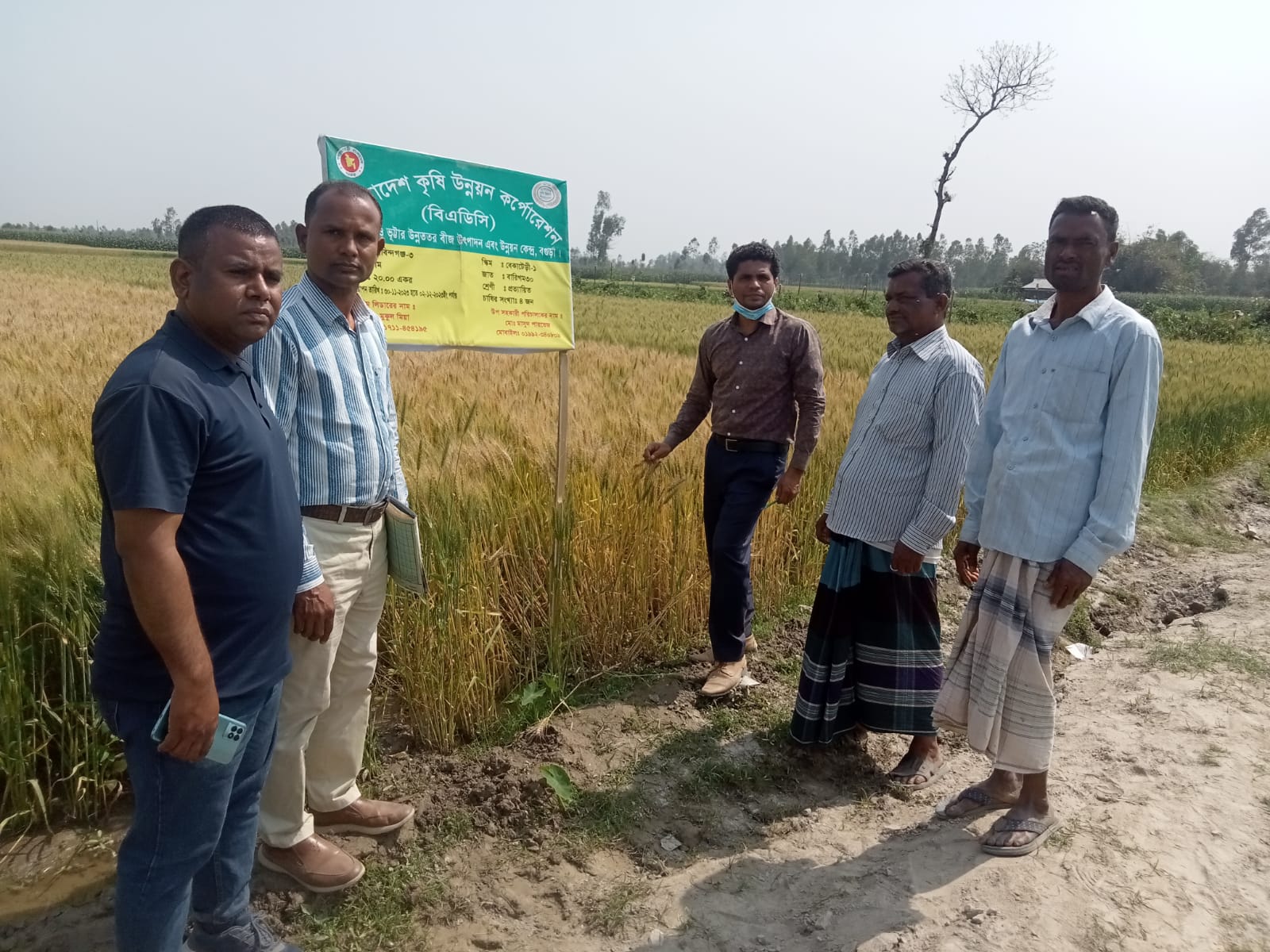 ২০২৩ ২৪ মোসুমে সরকারি গম ফসলের মাঠ মুল্যায়ন কার্যক্রম