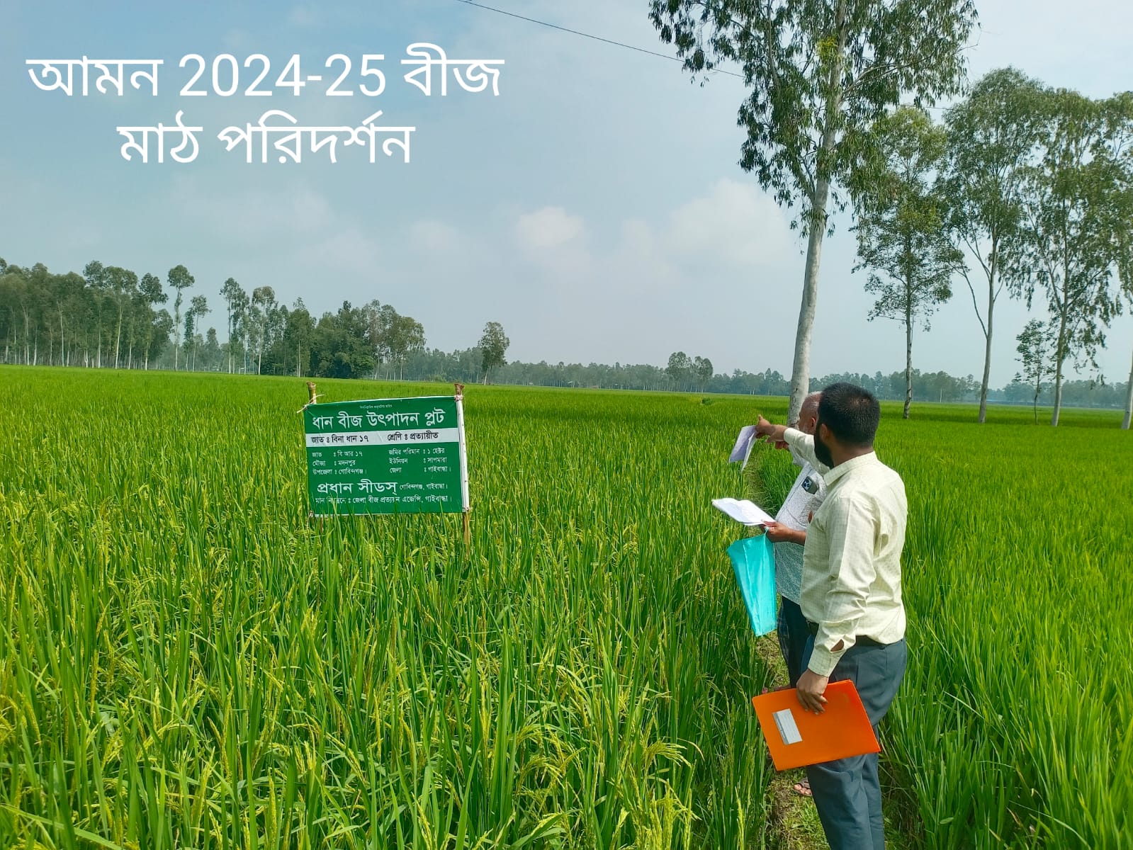 আমন ধানের বীজ মাঠ পরিদর্শন