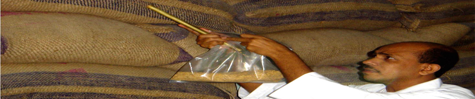 বীজ সংগ্রহ