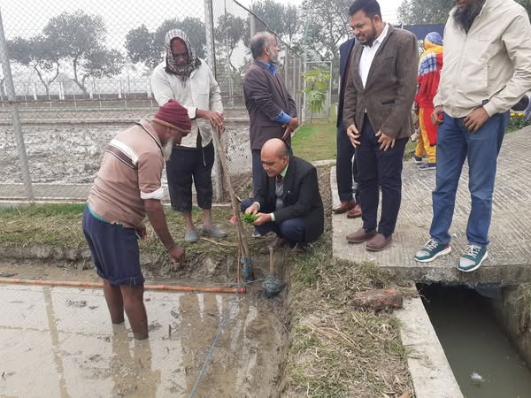 রবি/২০২৪-২৫ মৌসুমে বোরো ধান ফসলের ট্রায়াল প্লটের উদ্ভোধন করেন বীজ প্রত্যয়ন এজেন্সীর সম্মানিত পরিচালক জনাব মো: জয়নাল আবেদীন