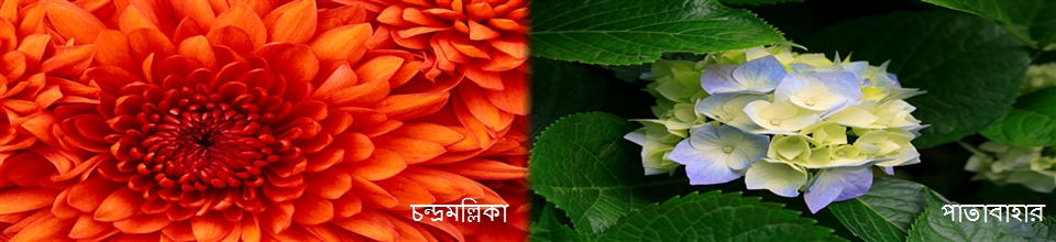 ছবি