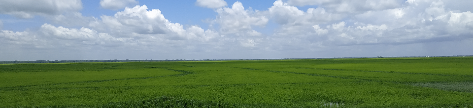 ৪নং সেনহাটী ইউনিয়ন পরিষদ