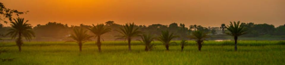 ৪নং সেনহাটী ইউনিয়ন পরিষদ