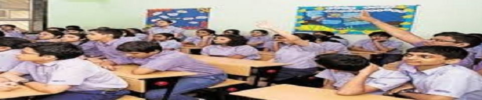 ওয়েব পোর্টাল