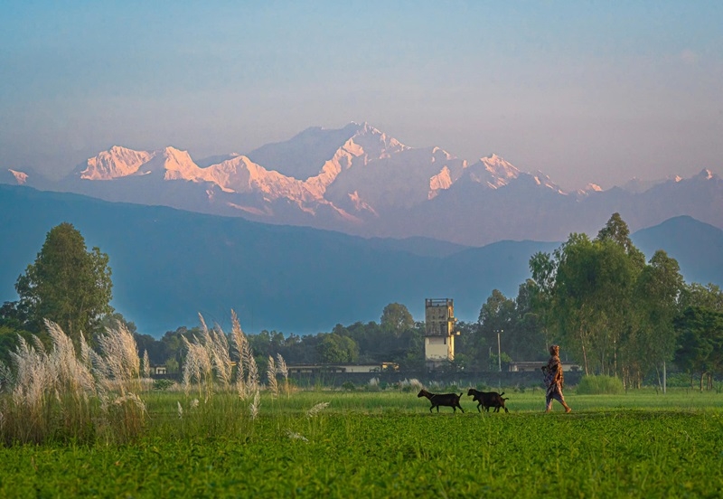 কাঞ্চন জংঘা