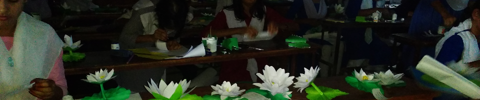 বিজয় ফুল উৎসব ২০১৯