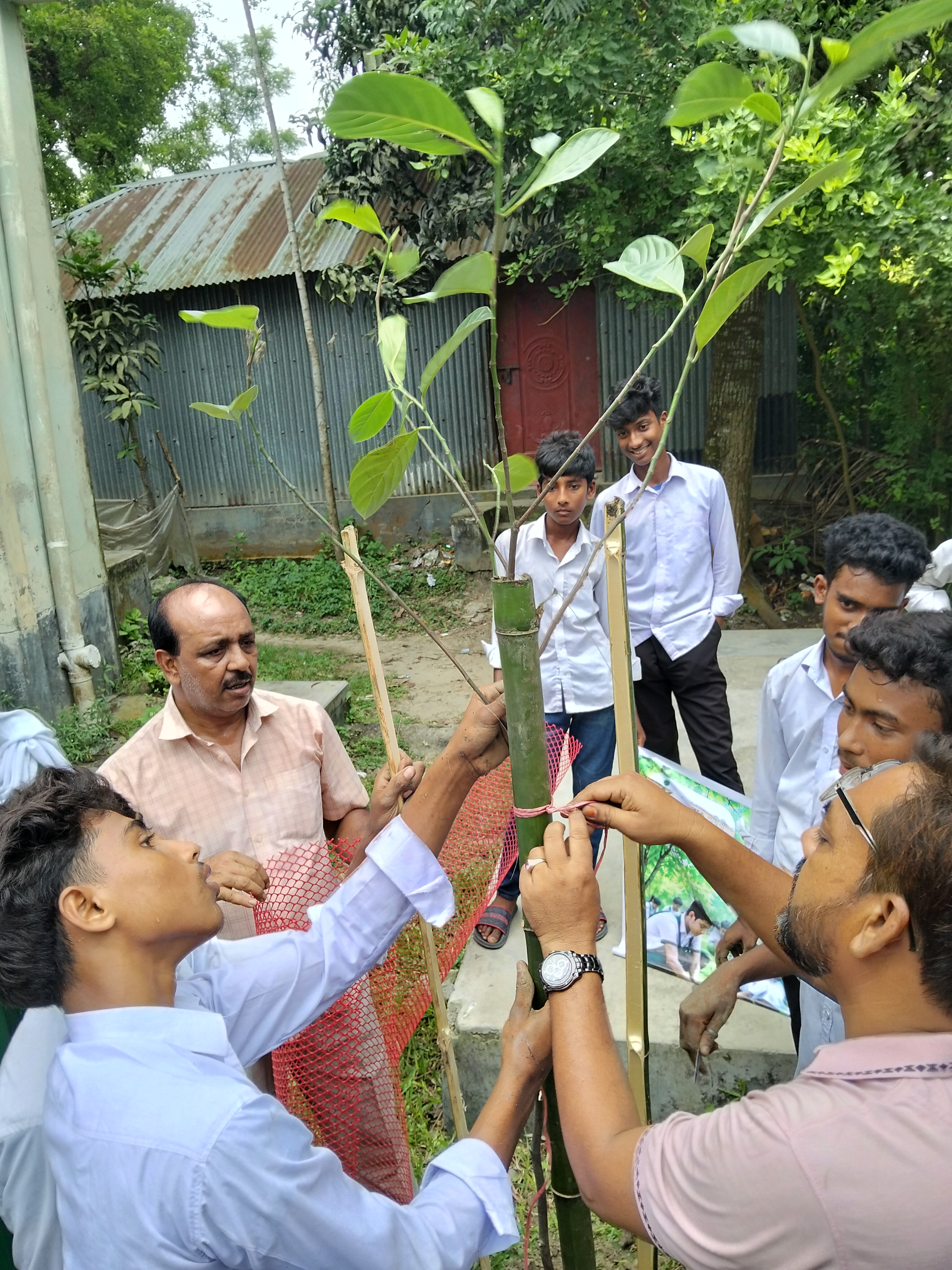 বৃক্ষরোপন