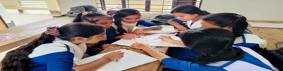 নতুন কারিকুলাম