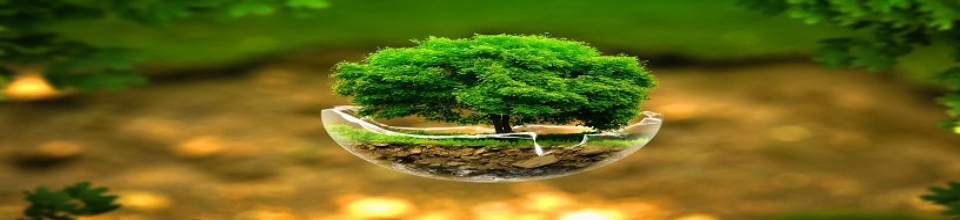 িয়র্া