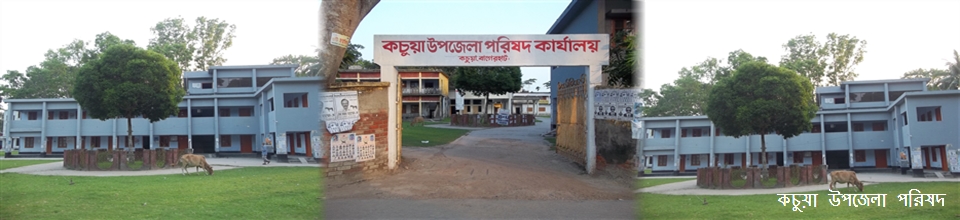 উপজেলা